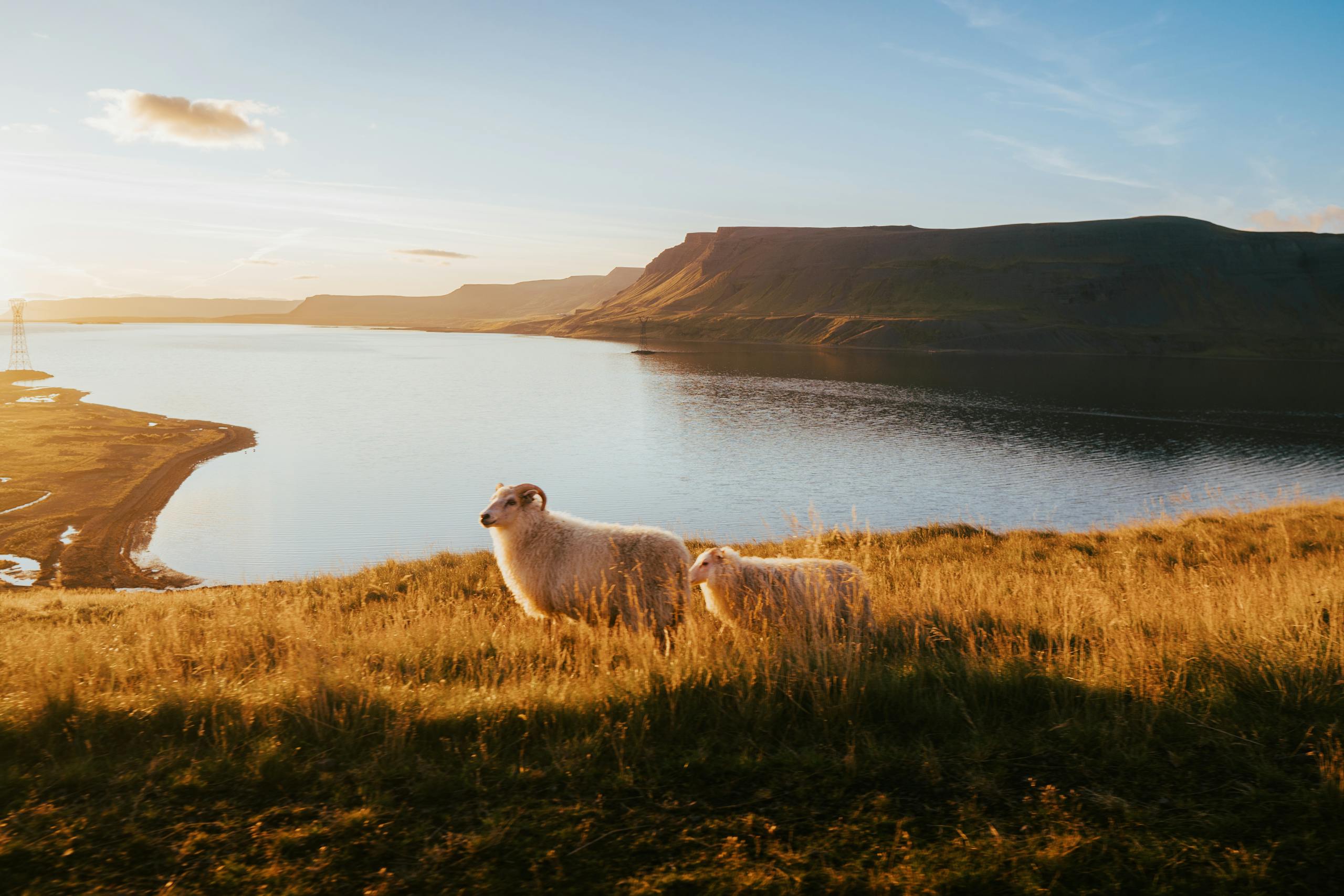 16 Destinations to Experience Iceland’s Wild and Rugged Westfjords ...
