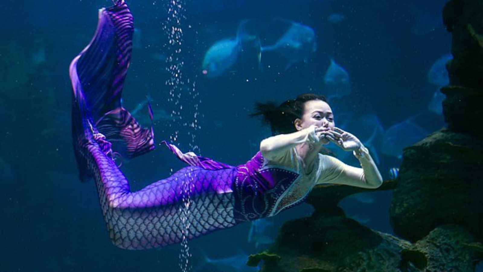 Underwater Restaurants You Have to See to Believe