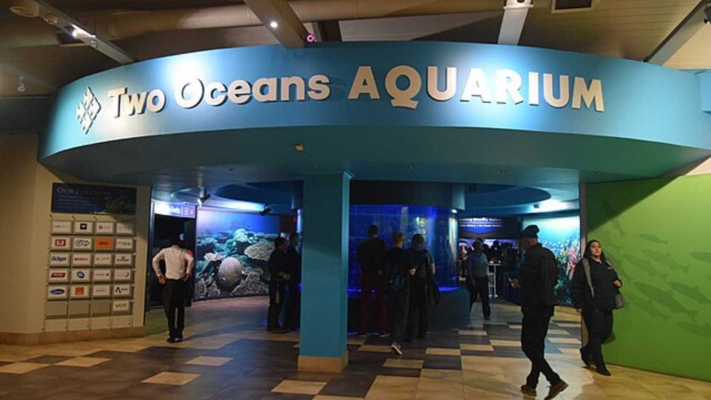 Underwater Restaurants You Have to See to Believe