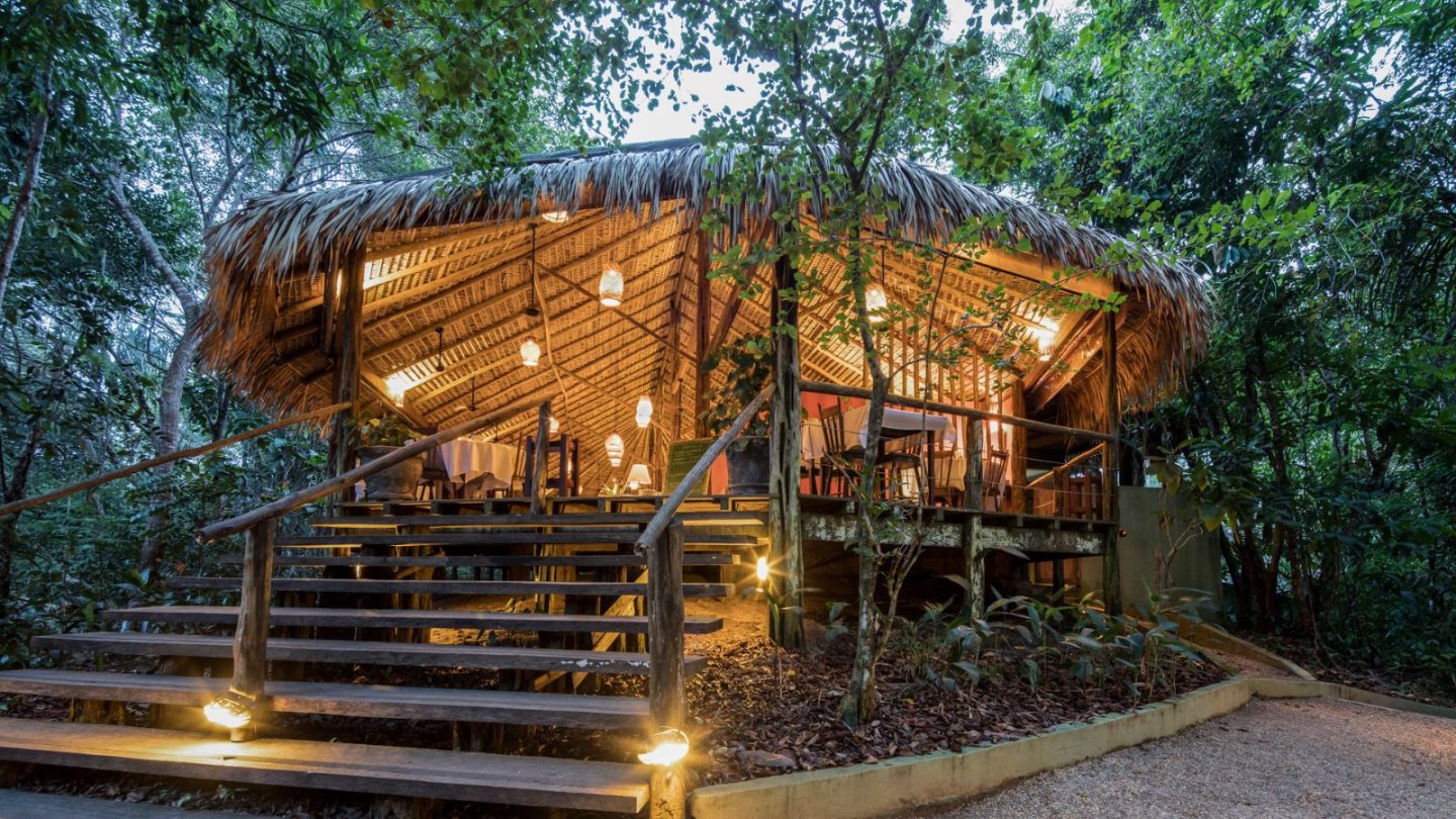 15 Breathtaking Rainforest Retreats for Nature Lovers Seeking the Ultimate Escape