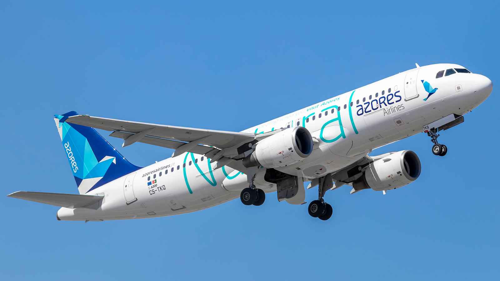 15 Hidden-Gem Airlines That Feel First-Class Without the High Price