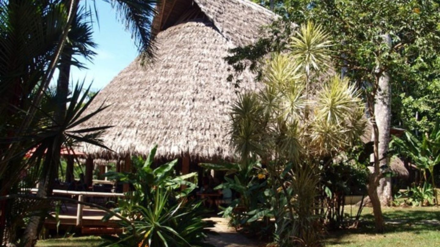 15 Breathtaking Rainforest Retreats for Nature Lovers Seeking the Ultimate Escape