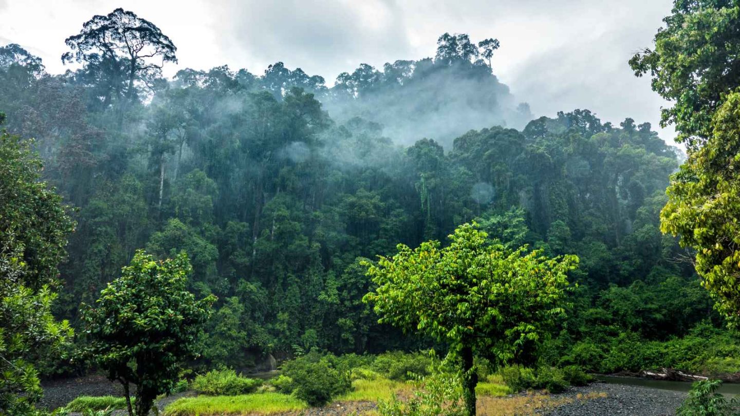 17 Ultimate Bucket-List Wildlife Destinations