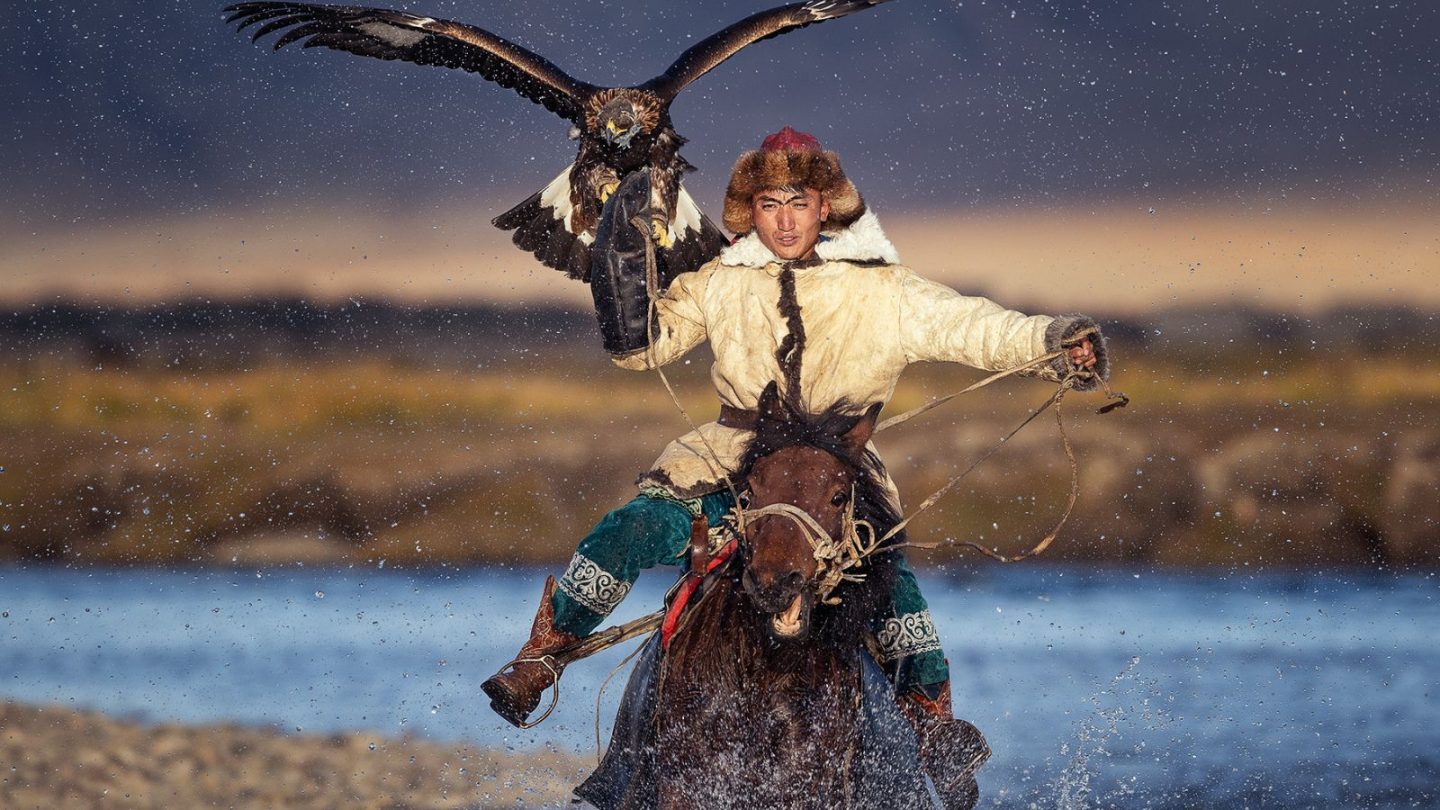 Unforgettable Animal Encounters You Need to Experience Around the World