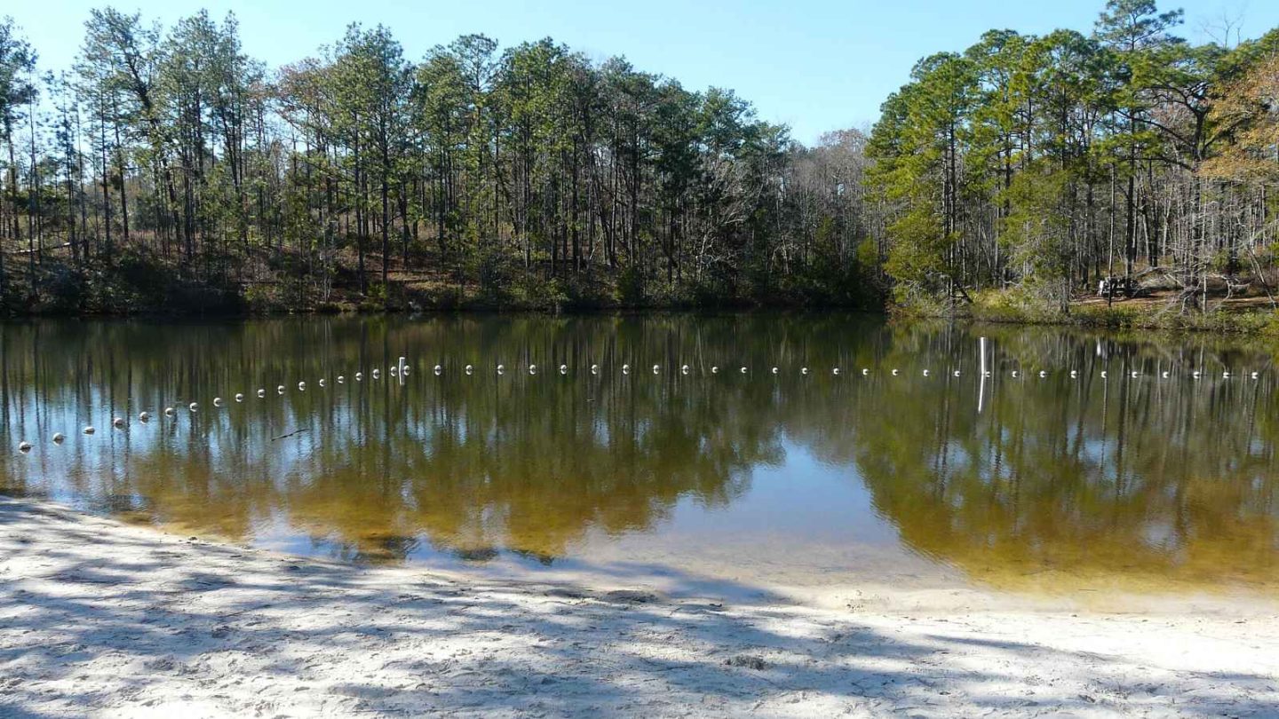 15 Unforgettable Florida State Parks You Have to Experience15 Unforgettable Florida State Parks You Have to Experience