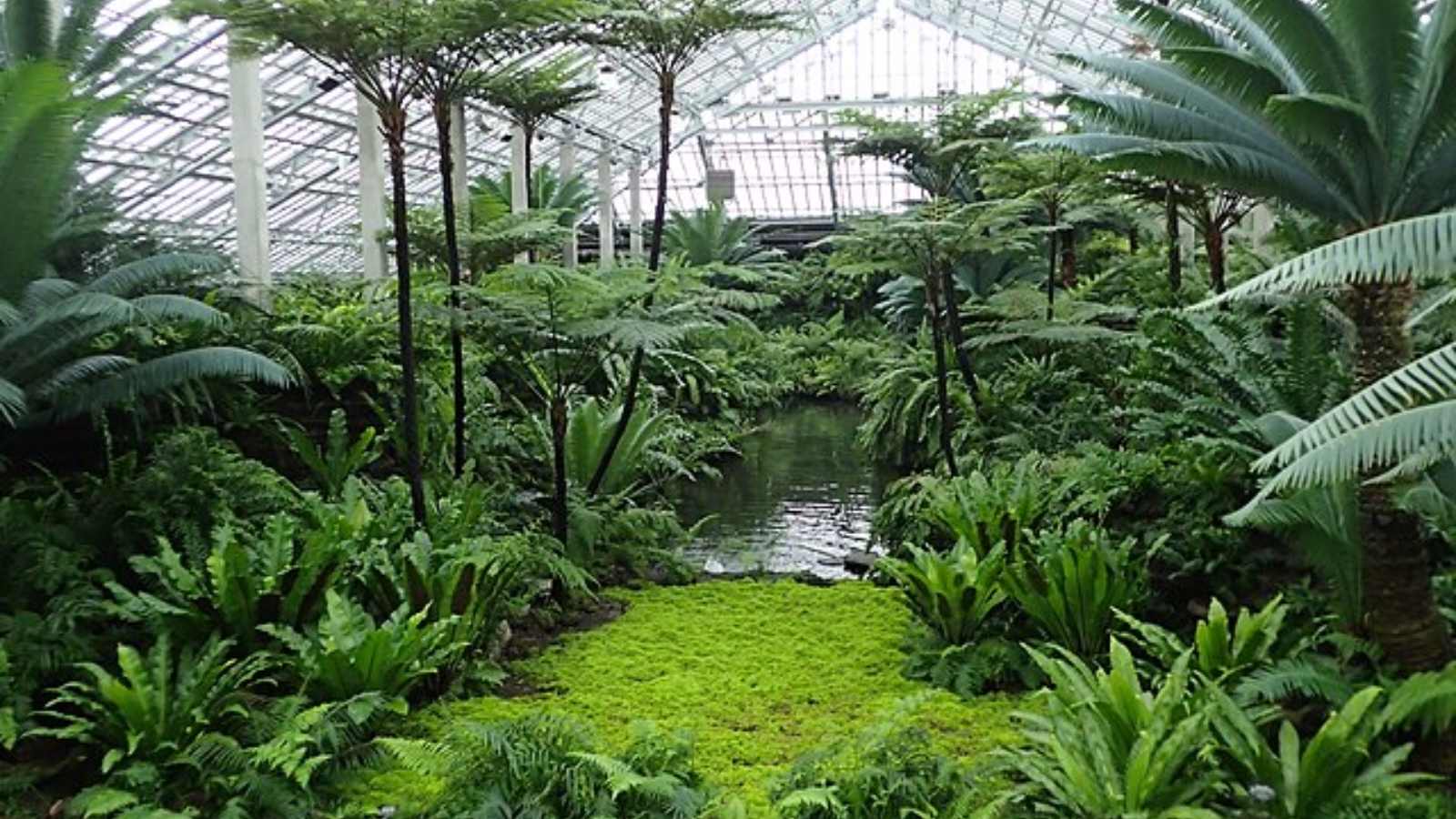 Hidden Gems in Popular US Cities