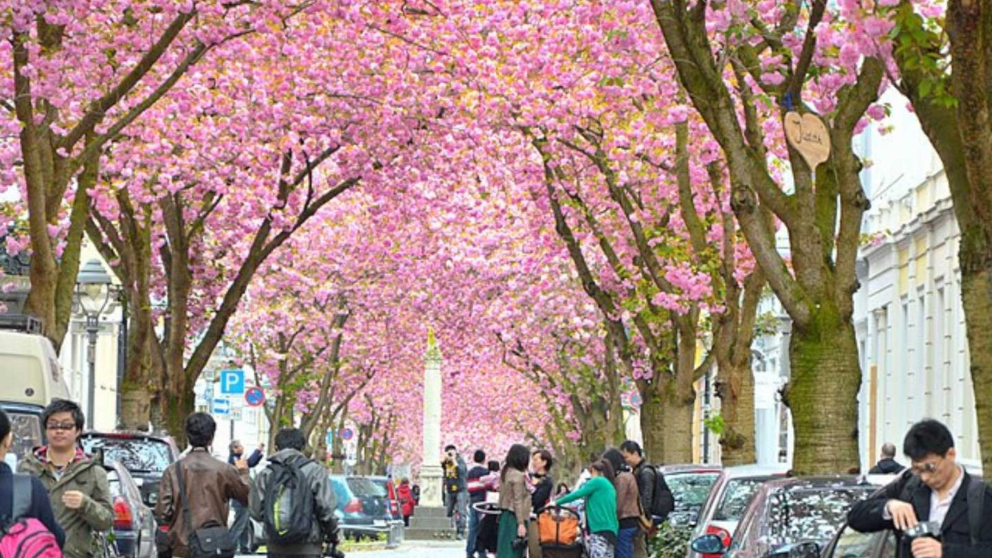 Breathtaking Historic Streets Around the World You Need to See