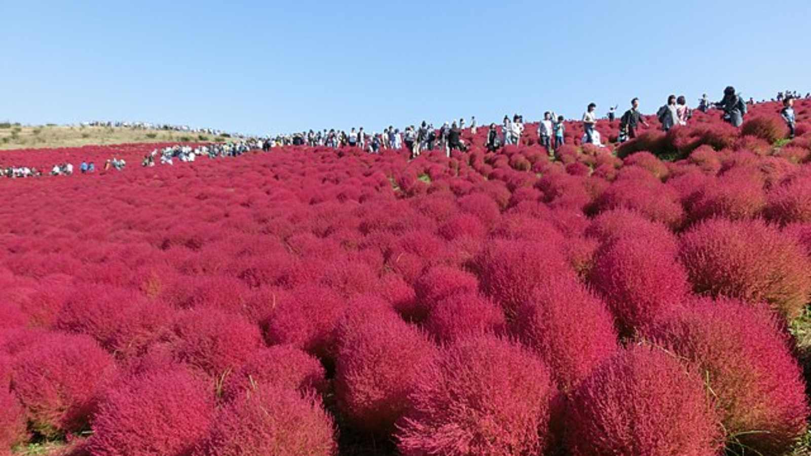 15 Legendary Places That Seem Unreal