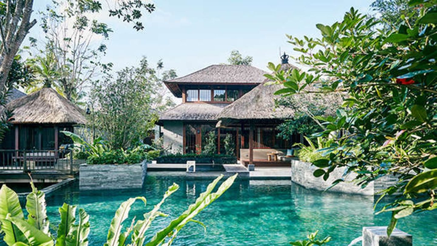 15 Breathtaking Rainforest Retreats for Nature Lovers Seeking the Ultimate Escape