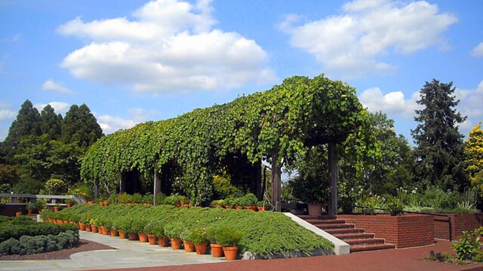 Hidden Gems in Popular US Cities