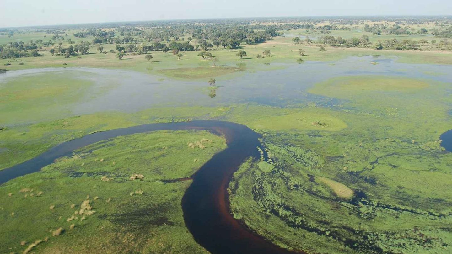 17 Ultimate Bucket-List Wildlife Destinations