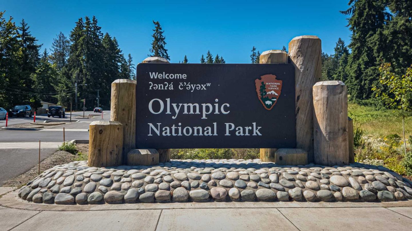 Breathtaking Waterfalls in Olympic National Park You Need to Explore