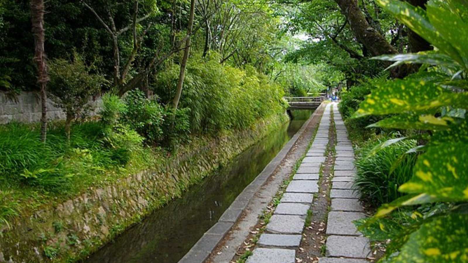 Breathtaking Historic Streets Around the World You Need to See