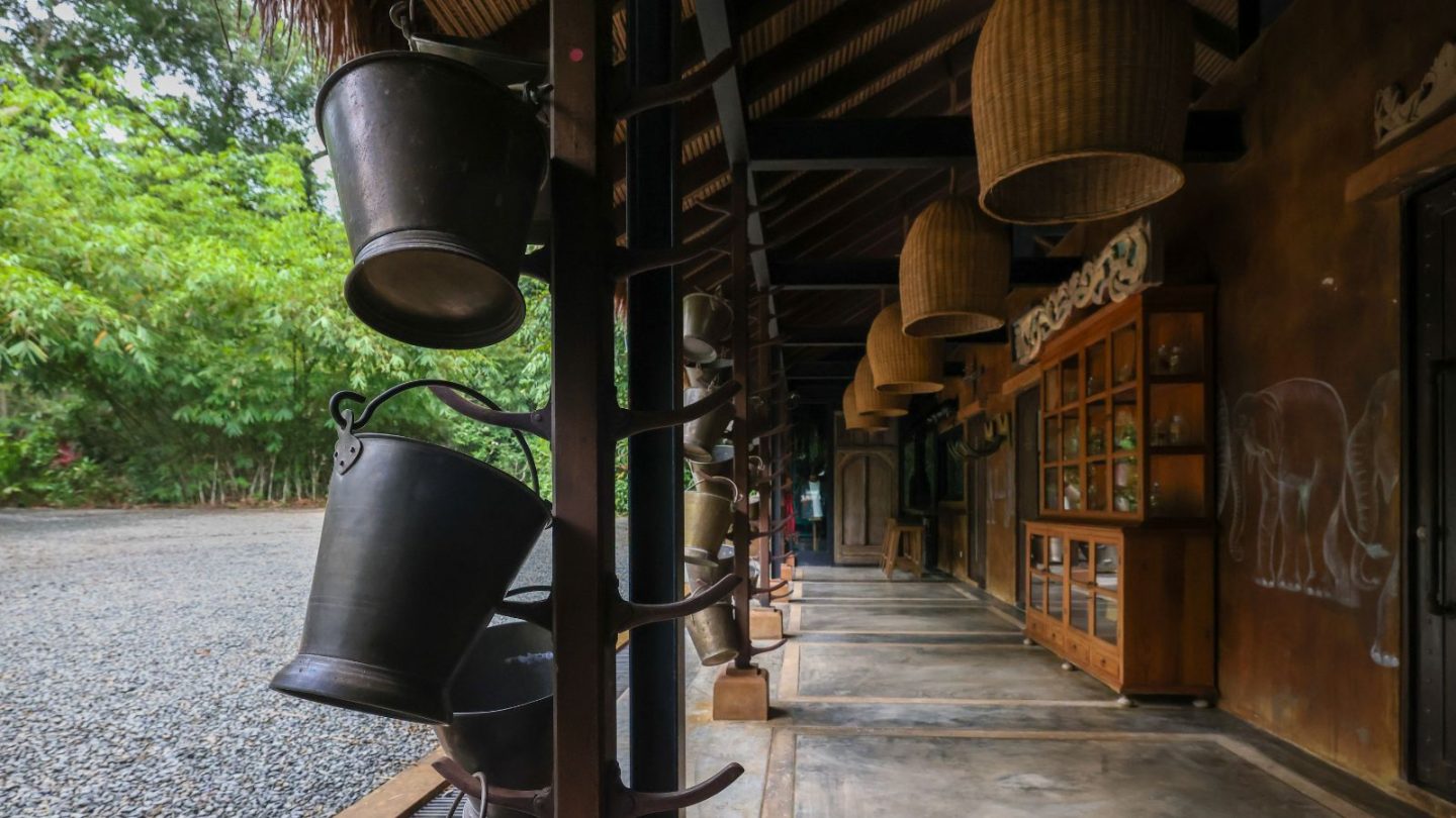 15 Breathtaking Rainforest Retreats for Nature Lovers Seeking the Ultimate Escape