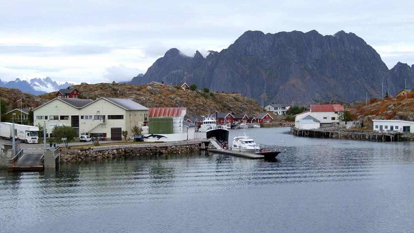  
John Michael
John Michael
3:50 AM Yesterday
Score 99
plag 0%
AI 23%
 	
12 Stunning Norwegian Islands Everyone Should Visit