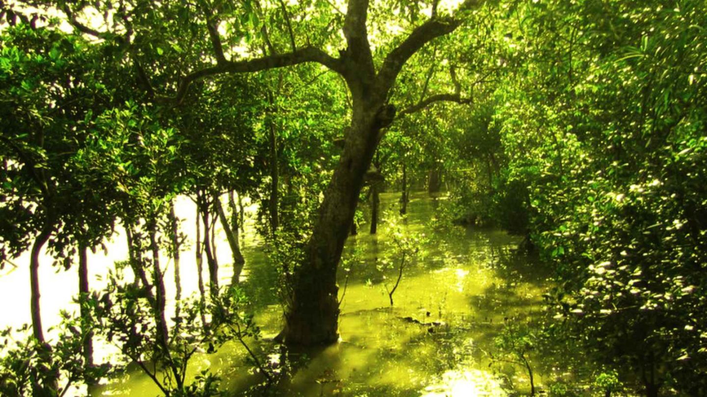 17 Breathtaking Natural Wonders You Must See in India