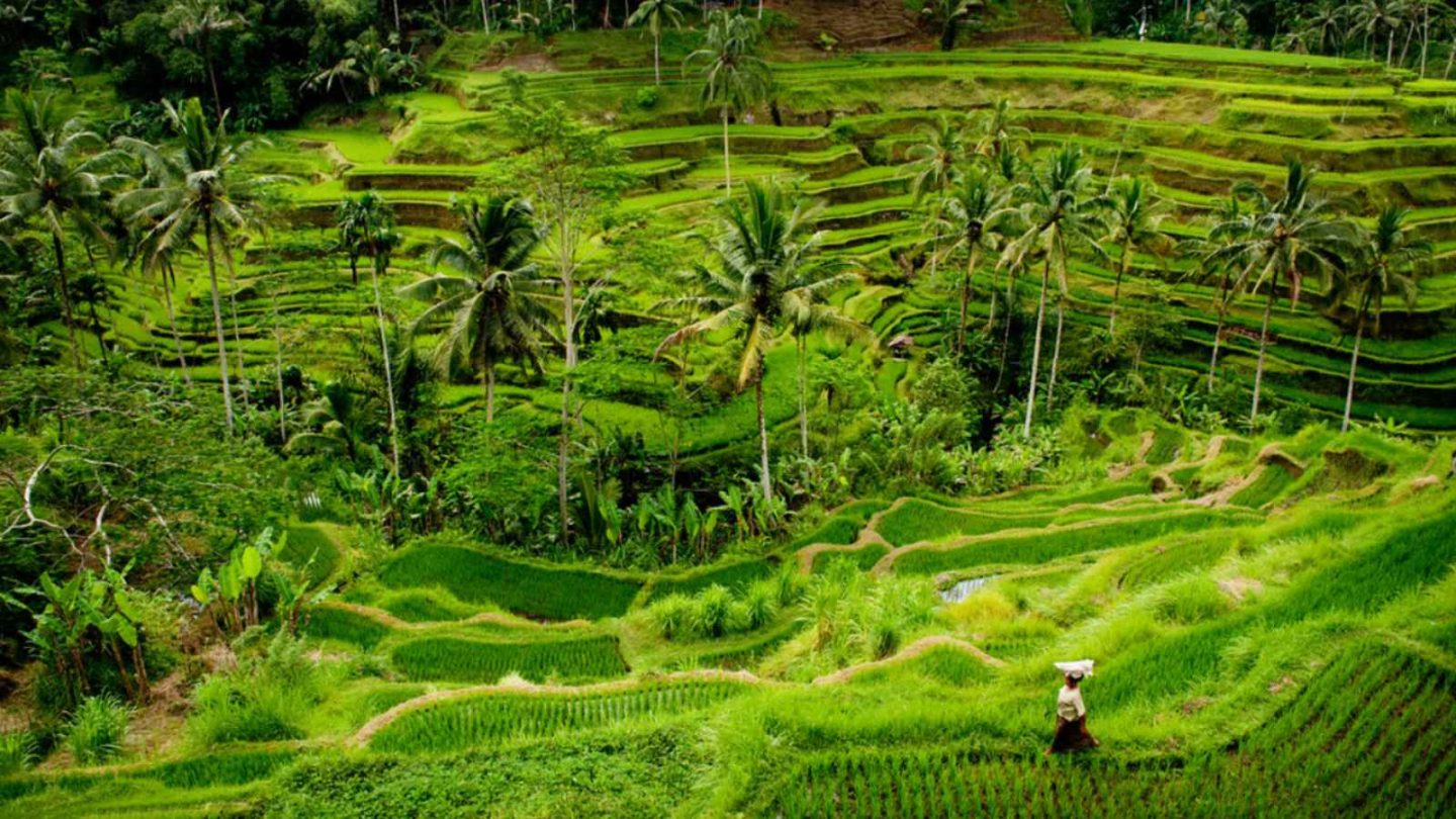 12 Stunning Indonesian Islands for an Affordable Dream Vacation