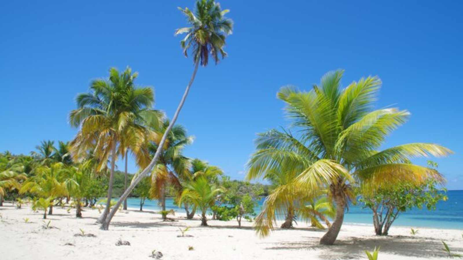 U.S. Islands So Exotic, You Won’t Believe They’re Right Here in America!