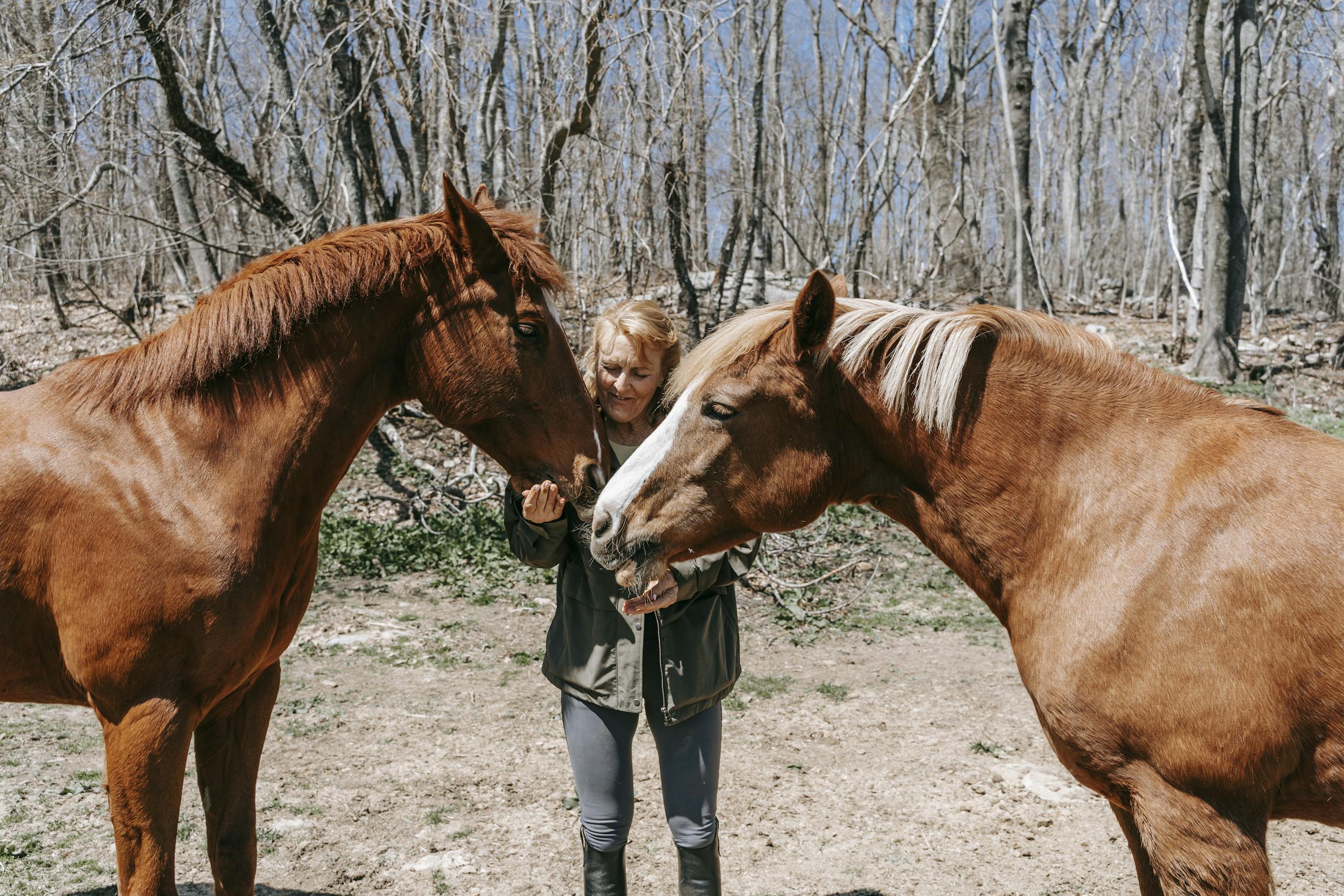 A woman gently interacting with two horses in a forest setting during springtime.