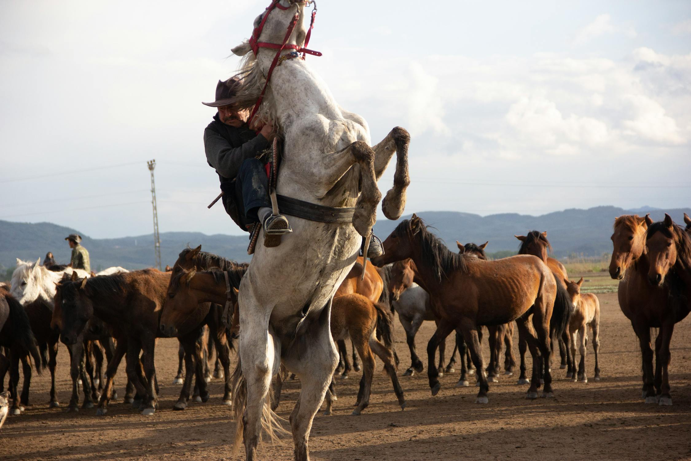 15 Cities Still Keeping the Wild West Spirit Alive