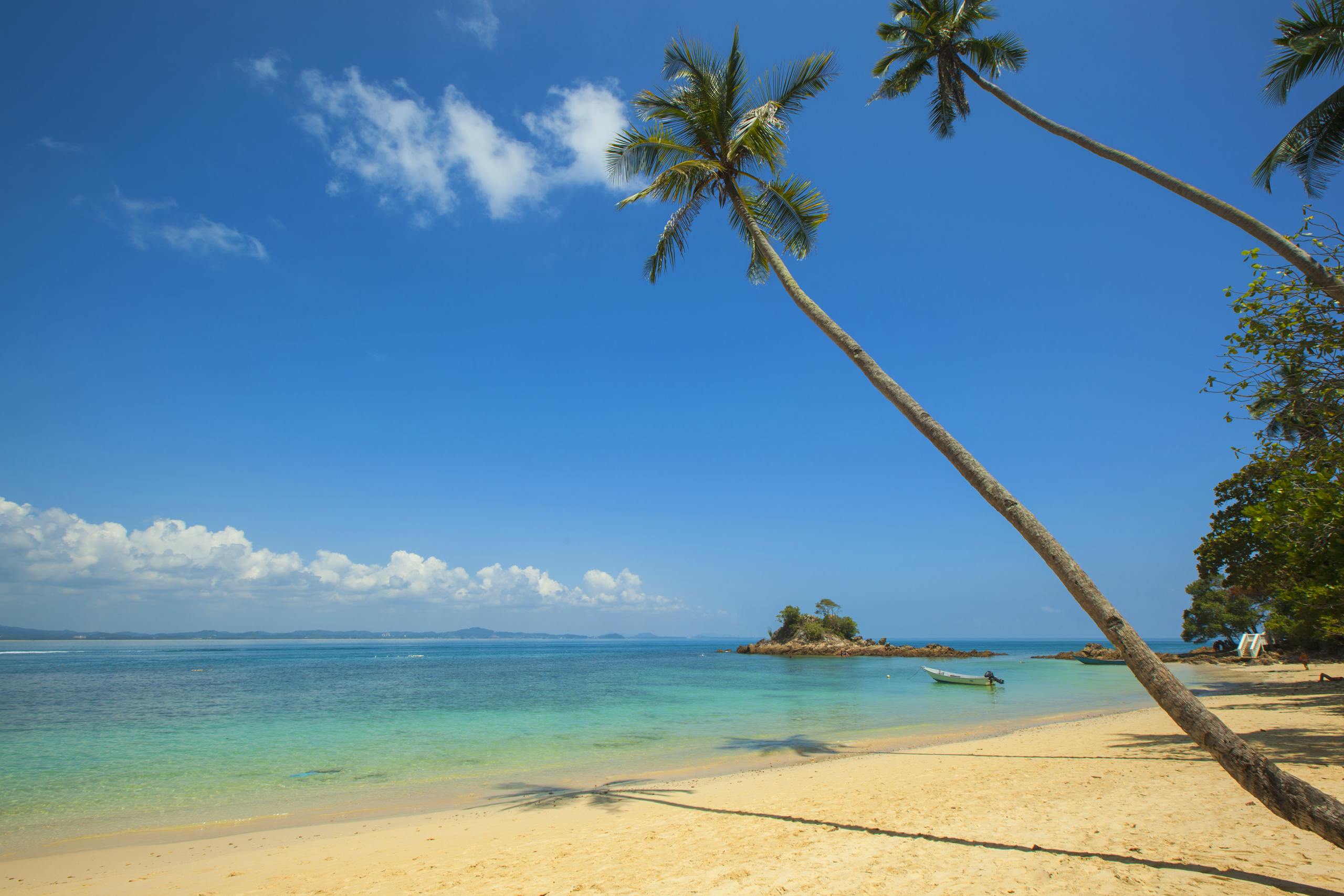 Idyllic tropical beach with palm trees, clear ocean, and blue sky.