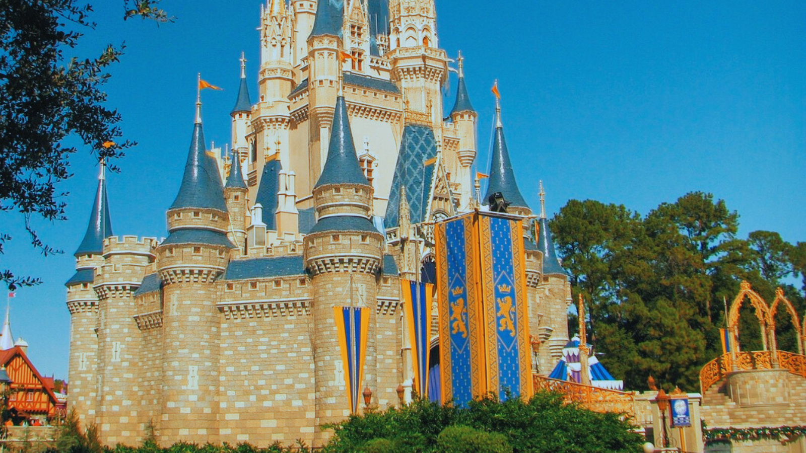 I Visit Disney World Twice a Year- Amazon Essentials I’m Bringing Next Time (From $7)