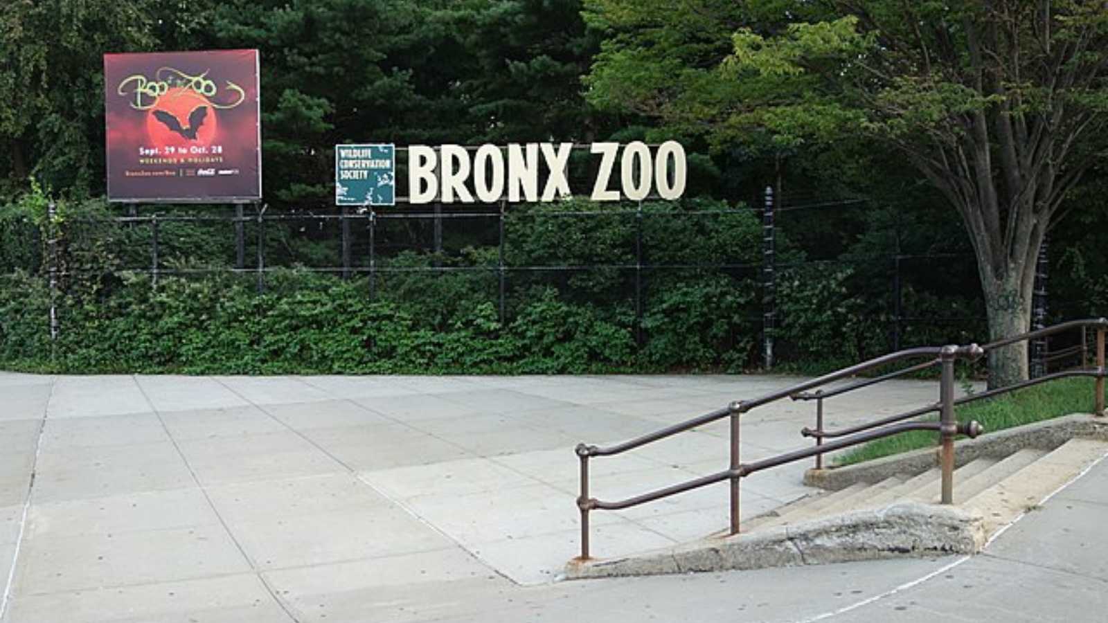 Must-Visit Zoos in the U.S. You Can’t Miss at Least Once in Your Lifetime