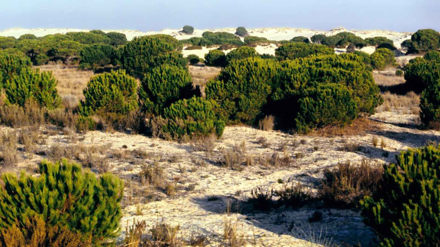 12 Most Beautiful Nature Parks to Explore in Spain