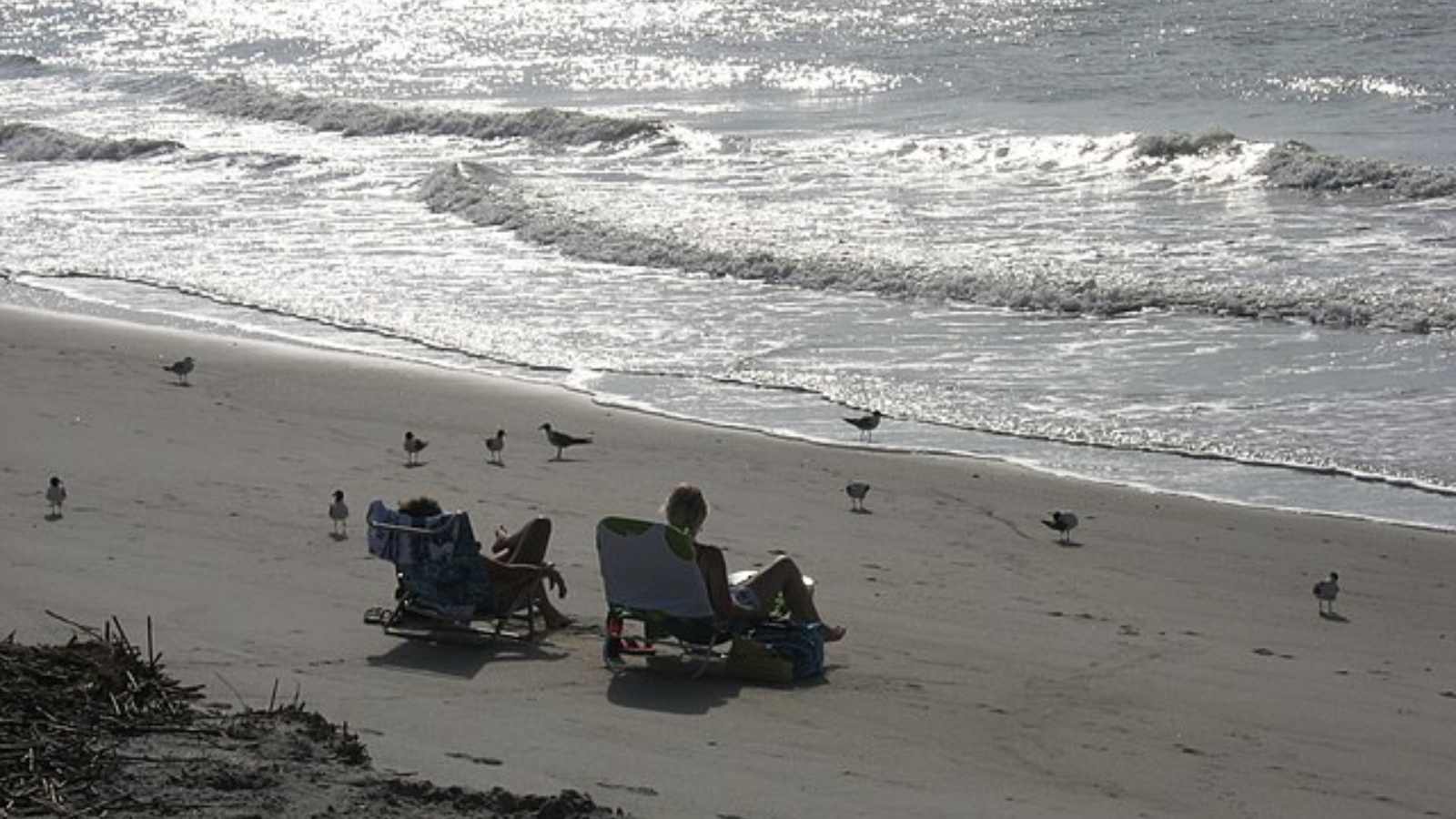 Gorgeous Beaches in America That Feel Like Paradise!