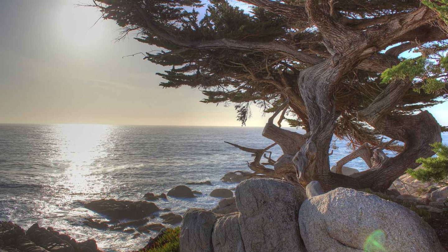 13 Infamous Surf Spots You’d Be Brave to Visit