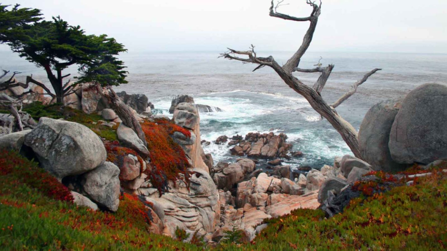 12 Fascinating Places in the World With Huge Waves