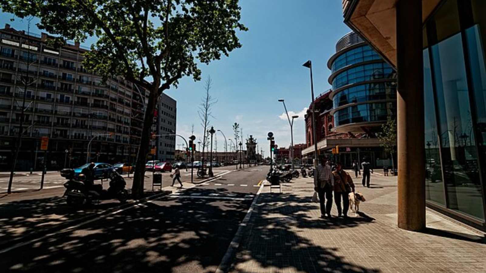 Long Streets Around the World That Will Amaze You