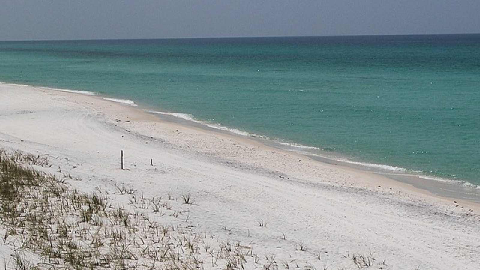 Gorgeous Beaches in America That Feel Like Paradise!