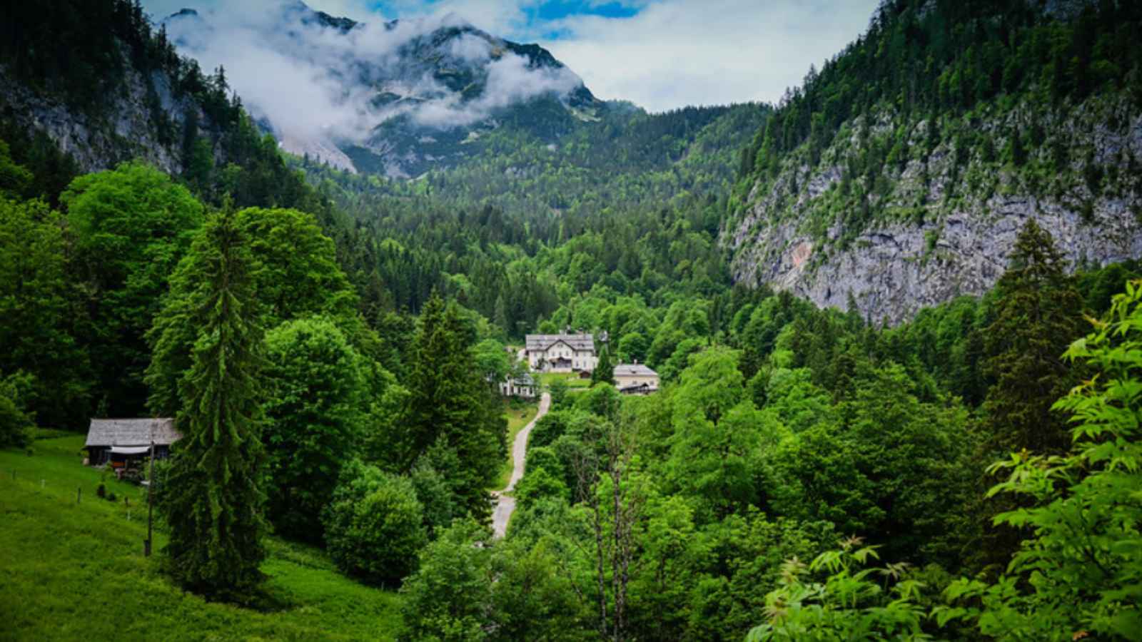 15 Enchanting European Forests You’ll Want to Explore