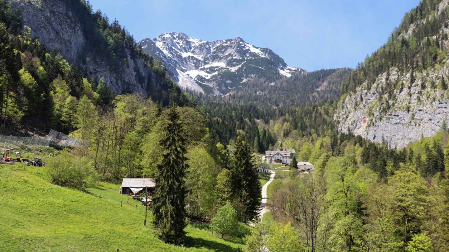 15 Enchanting European Forests You’ll Want to Explore