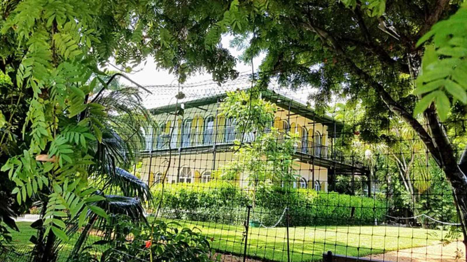 Must-Visit Destinations in America That Every Book Lover Will Adore!