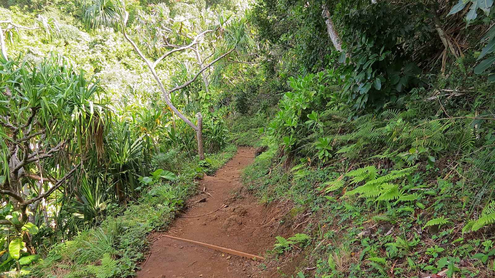 15 Scenic Hiking Trails in America You Have to See to Believe