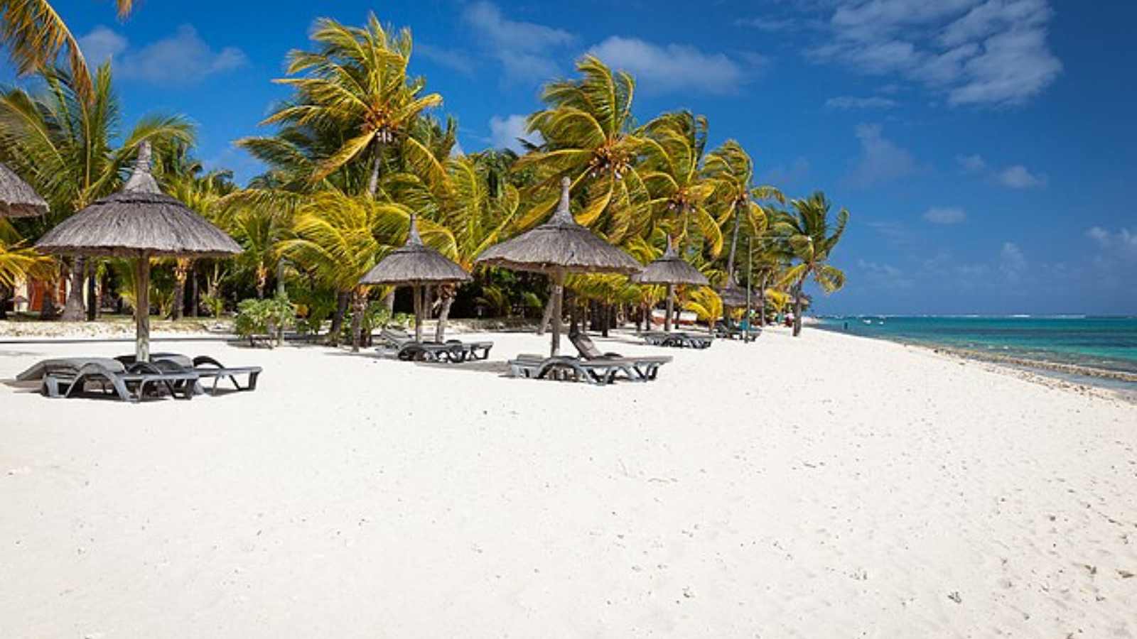 African Beaches You Must Visit in 2025