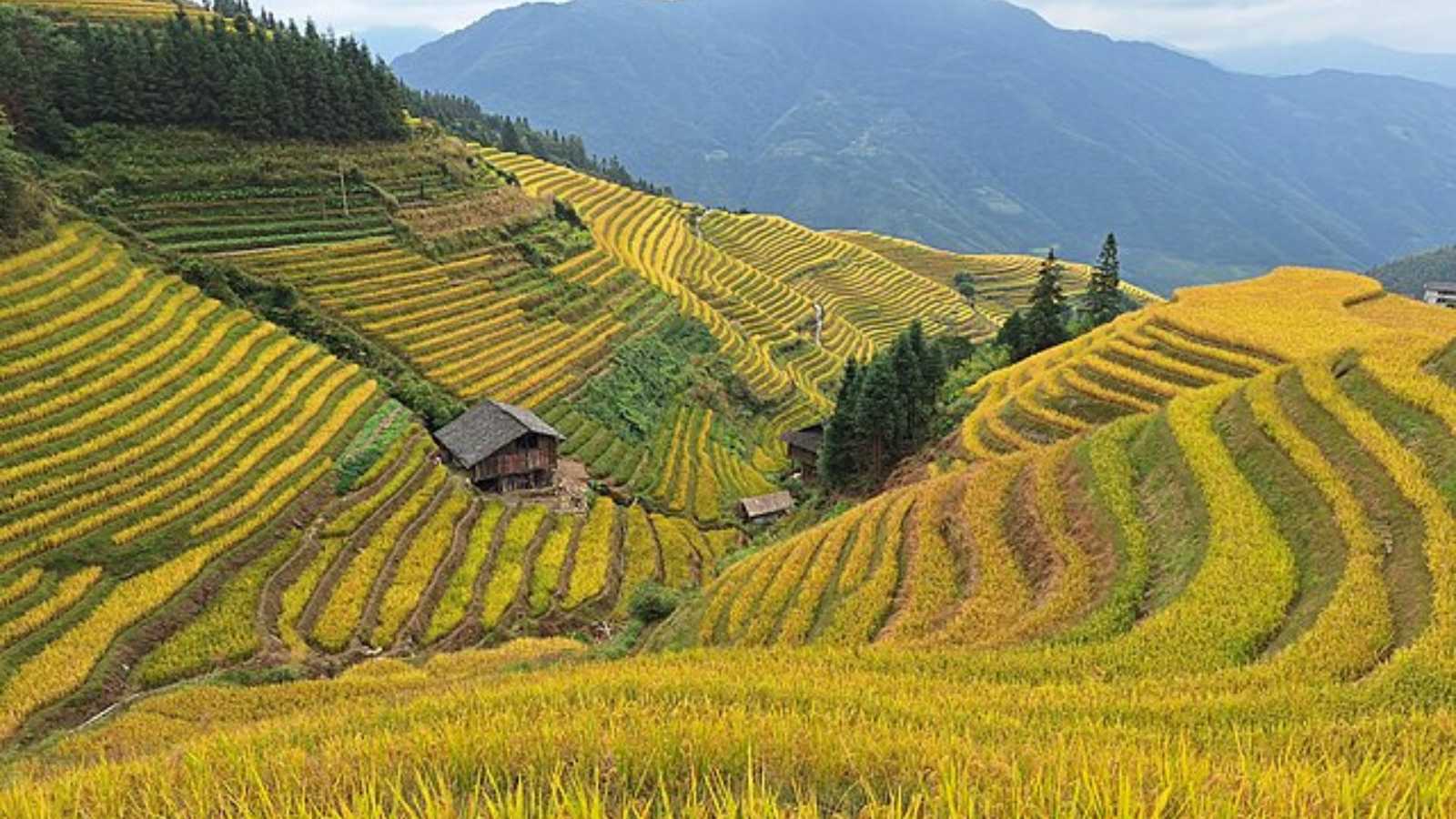 Breathtaking Places in China That Will Leave You Speechless!