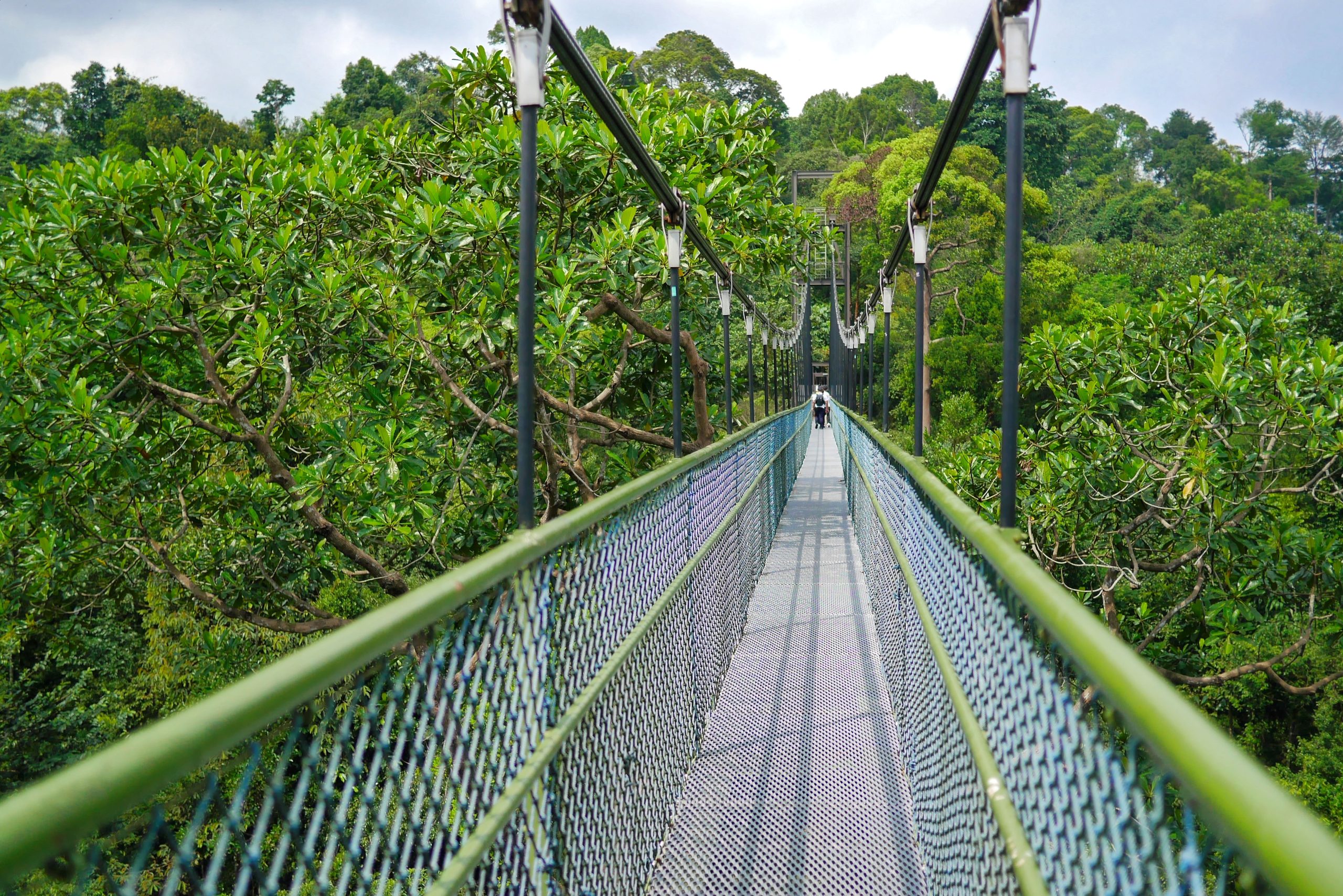 11 Stunning Green Spaces in Singapore for Nature Lovers