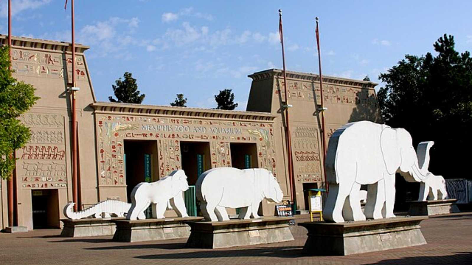 Must-Visit Zoos in the U.S. You Can’t Miss at Least Once in Your Lifetime