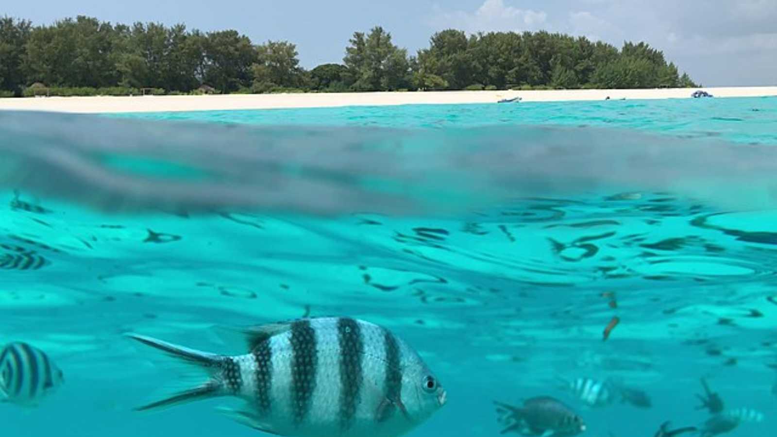 African Beaches You Must Visit in 2025