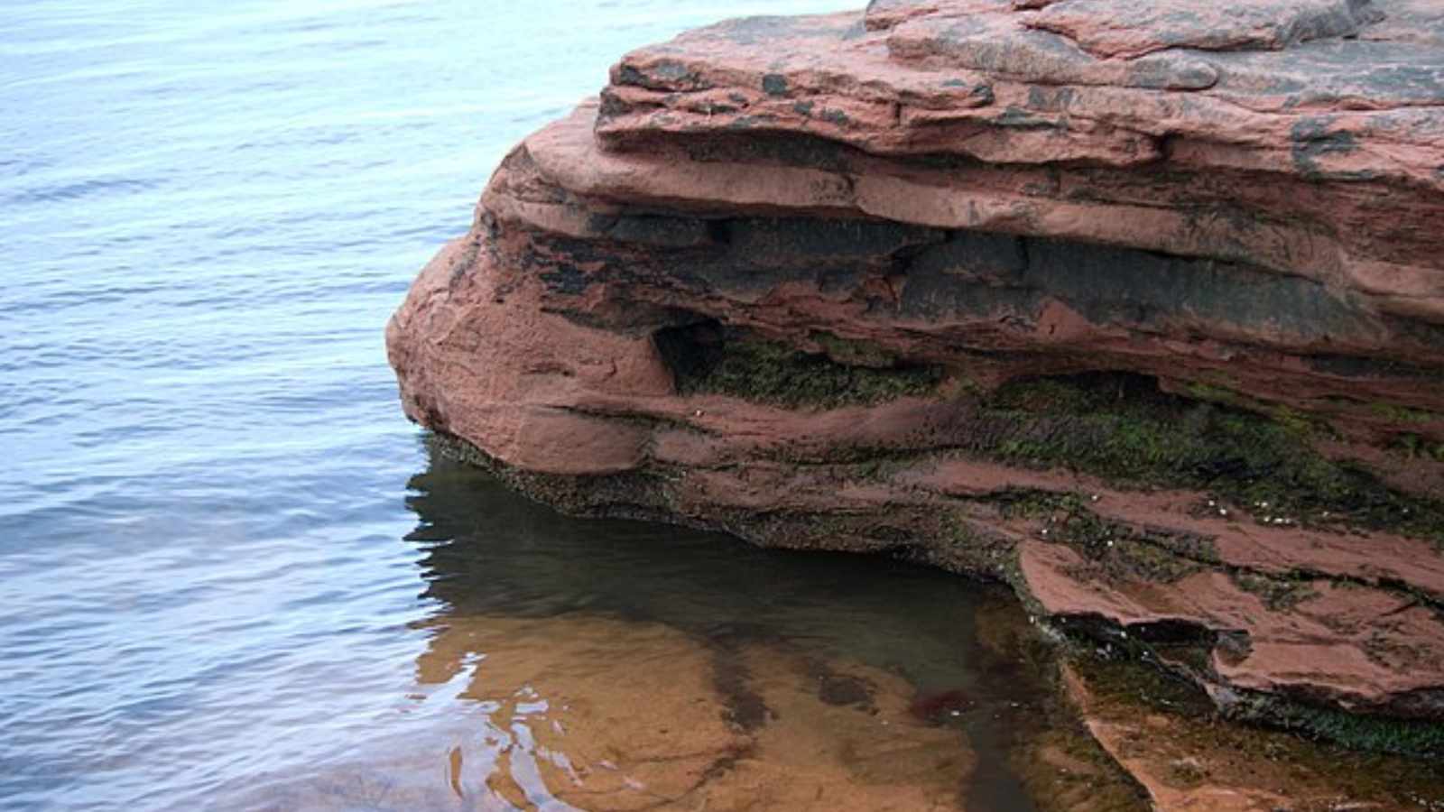 Stunning Nature Parks and Reserves in Canada You Need to See!