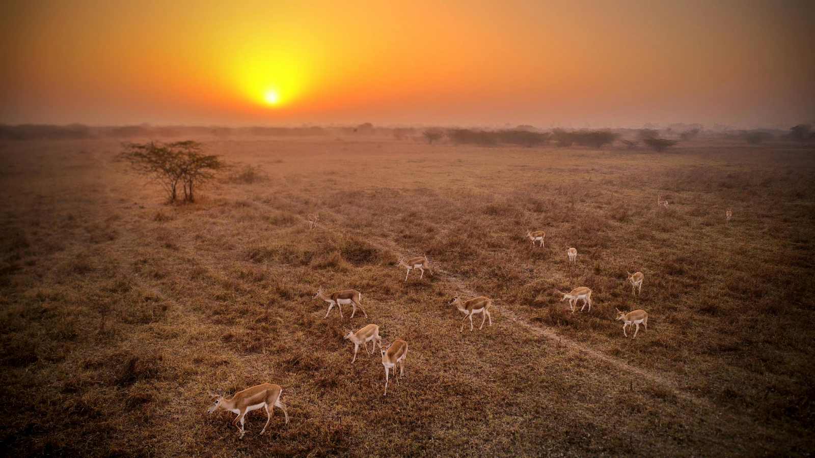 Breathtaking Sunrises Around the World You Need to See at Least Once!