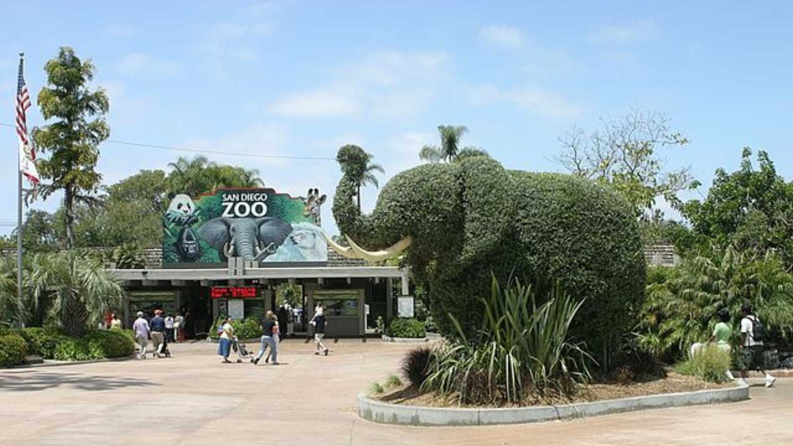 Must-Visit Zoos in the U.S. You Can’t Miss at Least Once in Your Lifetime