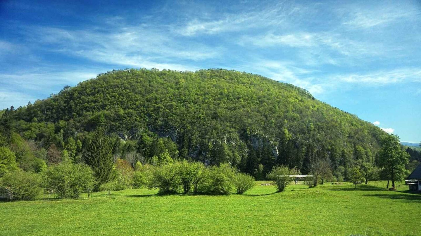 15 Enchanting European Forests You’ll Want to Explore