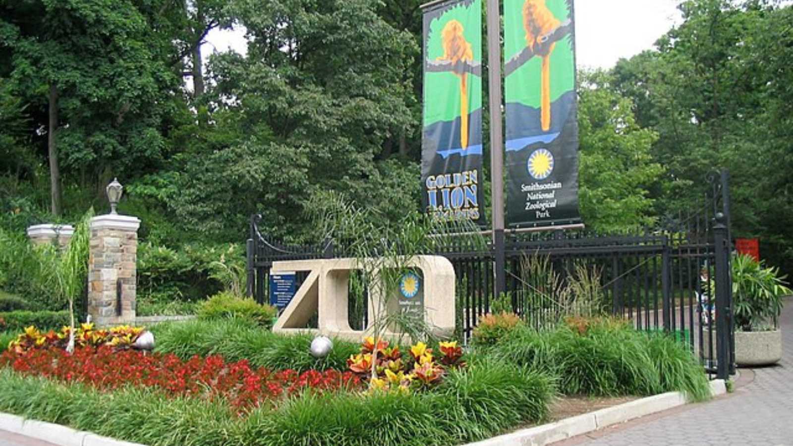 Must-Visit Zoos in the U.S. You Can’t Miss at Least Once in Your Lifetime