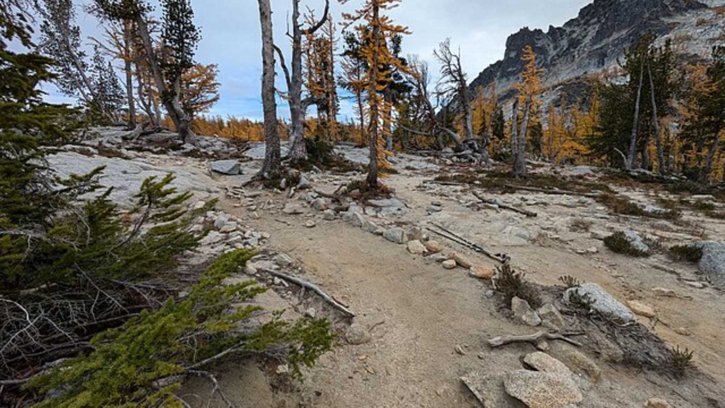 Enchanting Routes for the Ultimate Scenic Escape