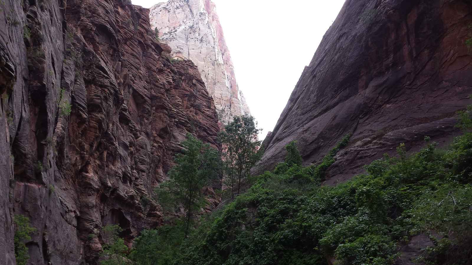 15 Scenic Hiking Trails in America You Have to See to Believe
