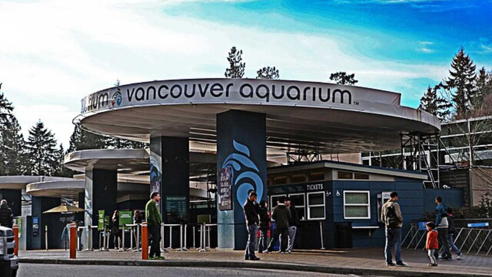 The Most Breathtaking Aquariums on Earth You Need to See